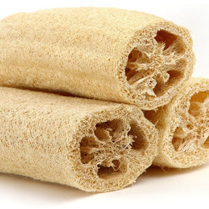 Gourd, Luffa (Loofah)