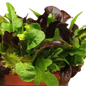 Lettuce, Simply Salad City Garden Mix